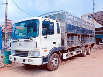 Xe tải thùng chở gia súc HD240