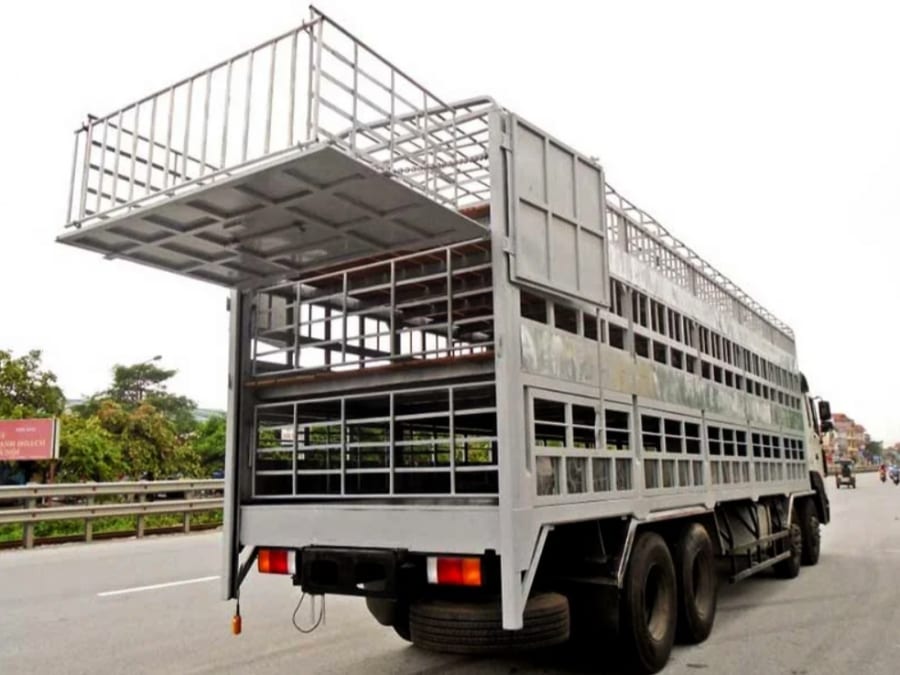 Thùng Inox 2 tầng chở gia súc