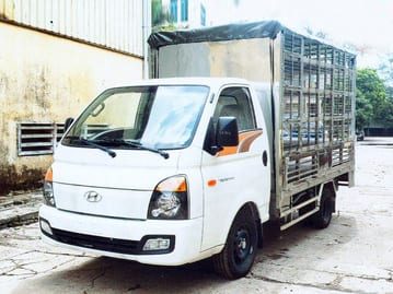 Xe chở gia cầm, lồng gà vịt Hyundai H150