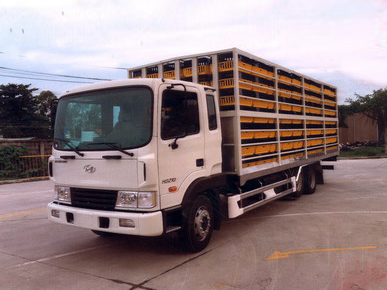 Xe-cho-gia-cam-hyundai-HD210 (1)