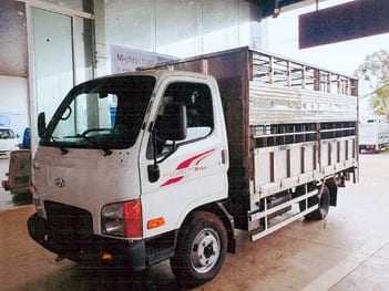 Xe-cho-gia-cam-hyundai-N250