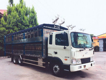 Xe chở gia súc Hyundai HD210
