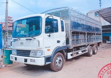Xe chở gia súc Hyundai HD240