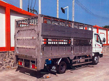 Xe chở lợn Hyundai N250