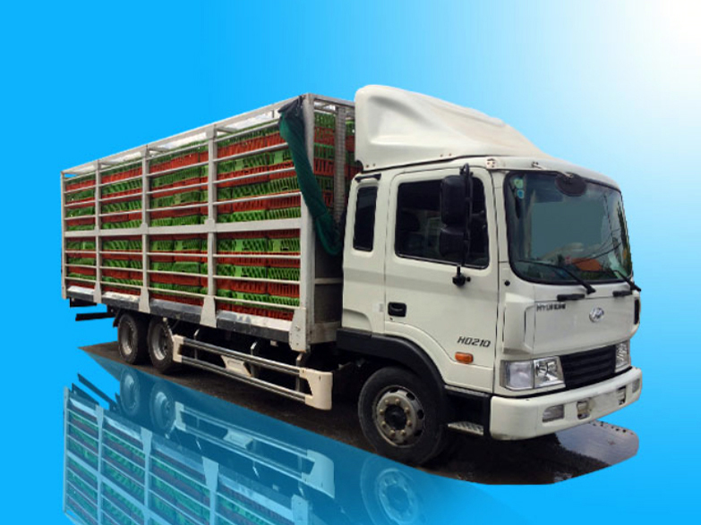 Xe chở gia cầm 13.5 tấn Hyundai HD210