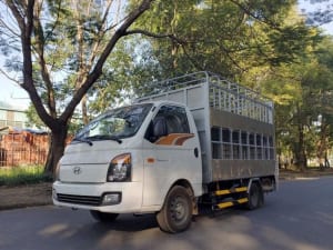 Xe chở gia súc Hyundai H150